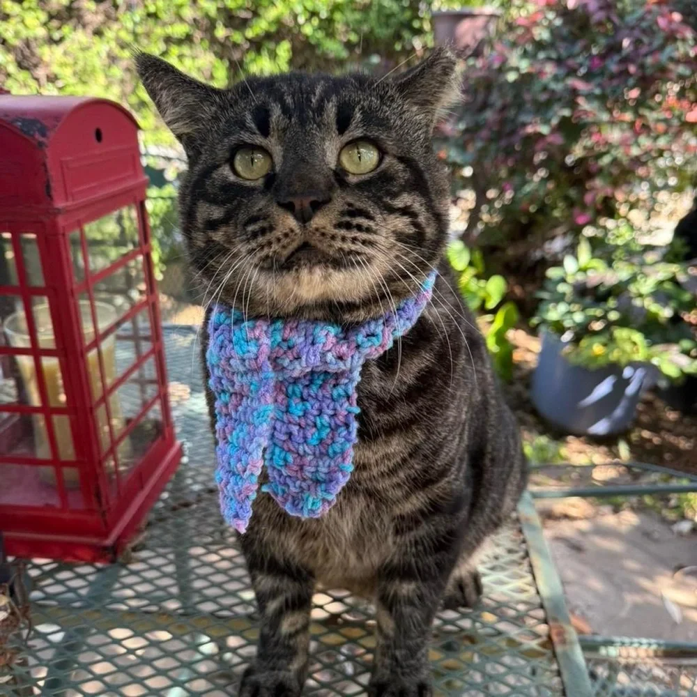 Adorable Handmade Blue and Purple Cat / Dog Scarf